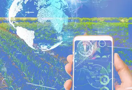 Auto Finance's Rapid Adoption of Digital Sales Channels